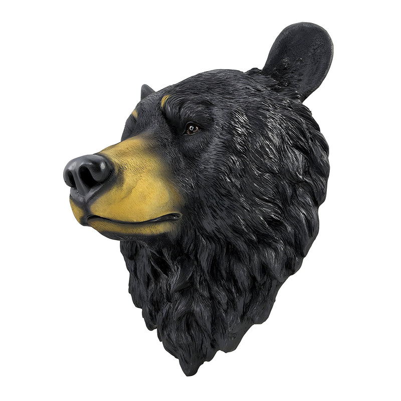 Black Bear Head Wall Sculpture, 16 Inch Realistic Bust Image 3