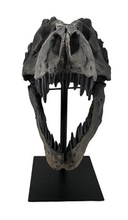 Gray Finished Tyrannosaurus Rex Fossil Skull Statue On Museum Mount T-Rex Image 2