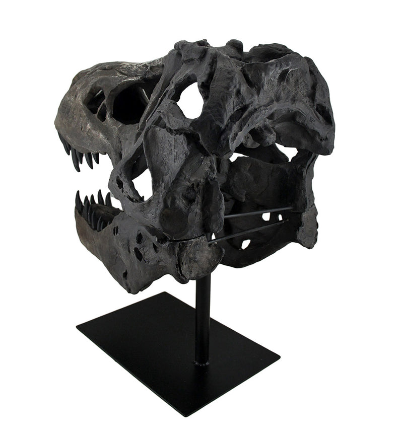 Gray Finished Tyrannosaurus Rex Fossil Skull Statue On Museum Mount T-Rex Image 4