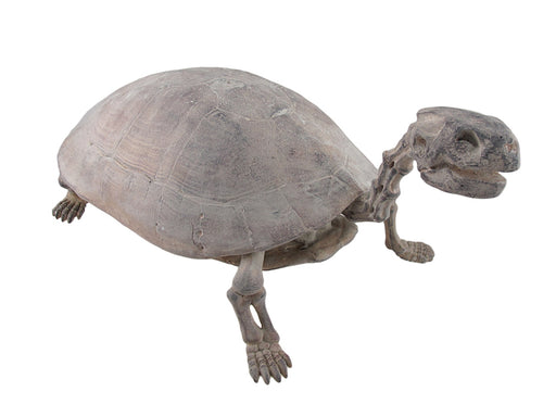 Antique Finish Faux Turtle Skeleton Fossil Statue Image 1