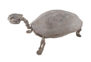 Antique Finish Faux Turtle Skeleton Fossil Statue Image 2