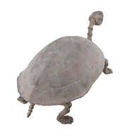 Antique Finish Faux Turtle Skeleton Fossil Statue Image 3