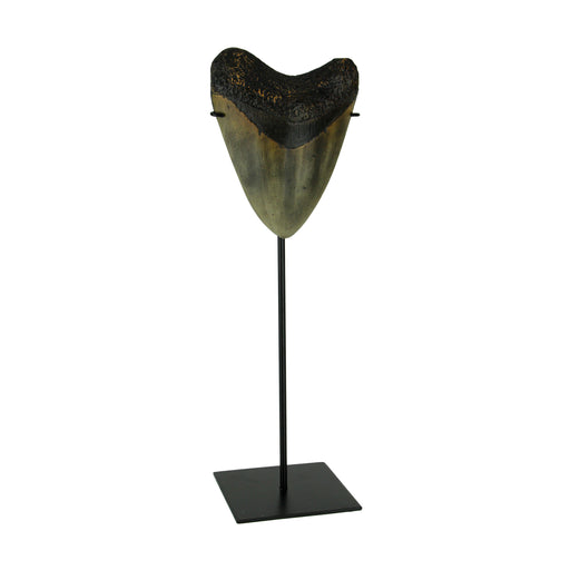 Mounted Giant 6 Inch Megalodon Shark Tooth Fossil Replica Sculpture Image 1