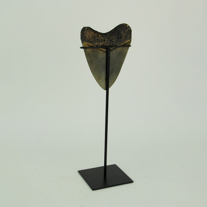 Mounted Giant 6 Inch Megalodon Shark Tooth Fossil Replica Sculpture Image 3