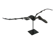 Museum Mounted Pterosaur Flying Dinosaur Fossil Replica Statue Image 1