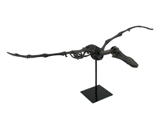 Museum Mounted Pterosaur Flying Dinosaur Fossil Replica Statue Image 1