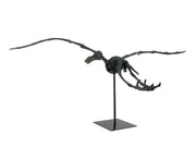 Museum Mounted Pterosaur Flying Dinosaur Fossil Replica Statue Image 3