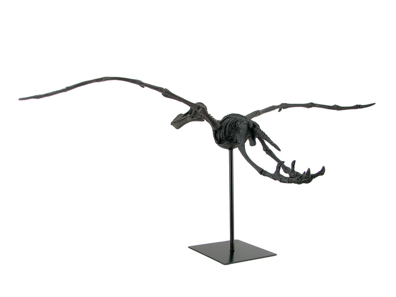 Museum Mounted Pterosaur Flying Dinosaur Fossil Replica Statue Image 3