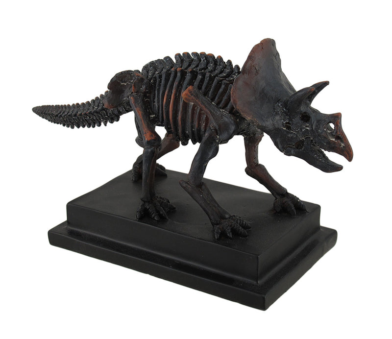 Antique Bronze Finish Mounted Triceratops Skeleton Statue Image 1
