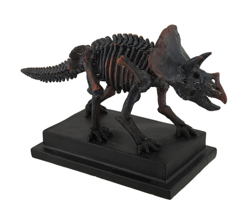 Antique Bronze Finish Mounted Triceratops Skeleton Statue Image 1