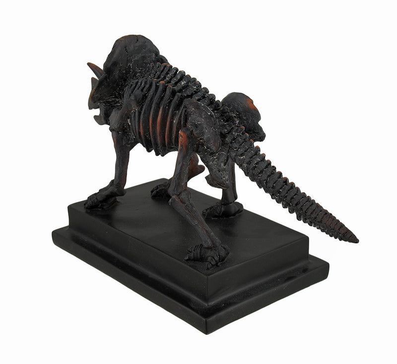 Antique Bronze Finish Mounted Triceratops Skeleton Statue Image 4