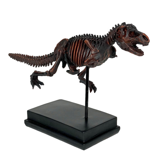 Tyrannosaurus Rex Skeleton Statue T-Rex on Museum Mount Image 2