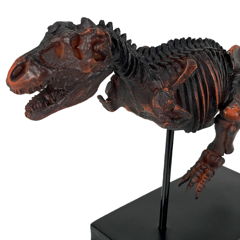 Tyrannosaurus Rex Skeleton Statue T-Rex on Museum Mount Image 3