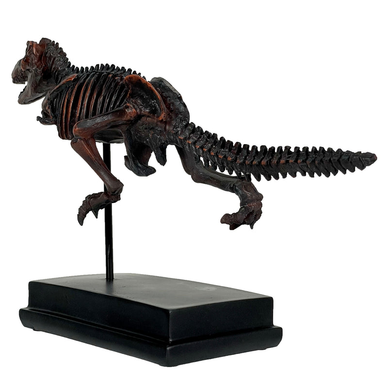 Tyrannosaurus Rex Skeleton Statue T-Rex on Museum Mount Image 4