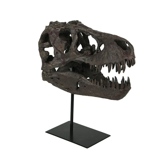 T-Rex Dinosaur Skull Mounted Tyrannosaurus Rex Fossil Statue Image 1