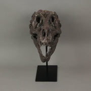 T-Rex Dinosaur Skull Mounted Tyrannosaurus Rex Fossil Statue Image 2