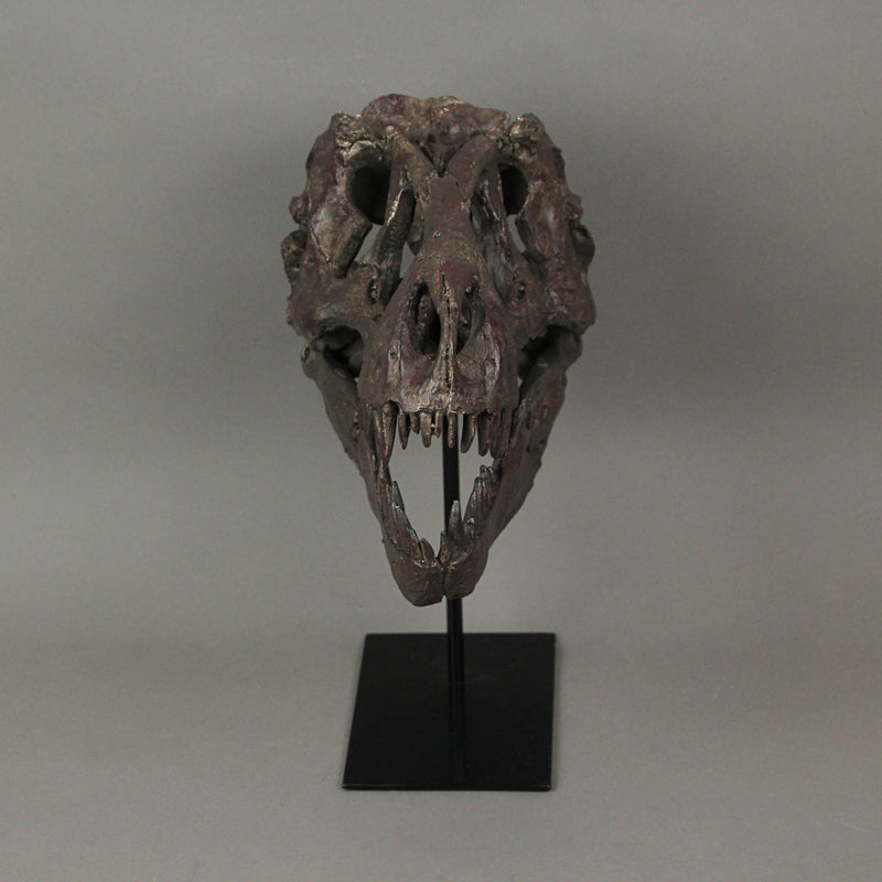 T-Rex Dinosaur Skull Mounted Tyrannosaurus Rex Fossil Statue Image 2