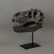 T-Rex Dinosaur Skull Mounted Tyrannosaurus Rex Fossil Statue Image 3
