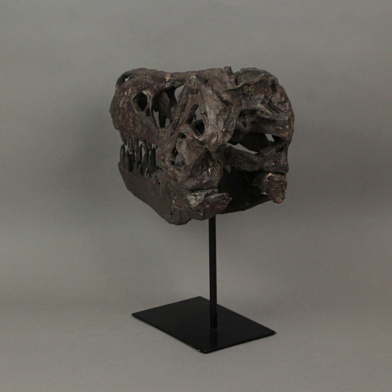 T-Rex Dinosaur Skull Mounted Tyrannosaurus Rex Fossil Statue Image 4