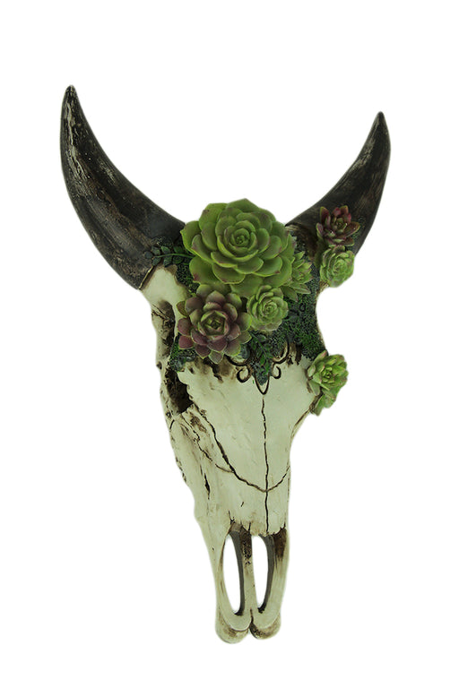 Aged Bull Skull with Succulent Plants Hanging Statue Image 1