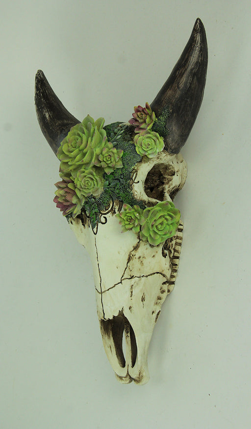 Aged Bull Skull with Succulent Plants Hanging Statue Image 2