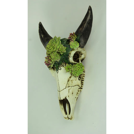 Aged Bull Skull with Succulent Plants Hanging Statue Image 2