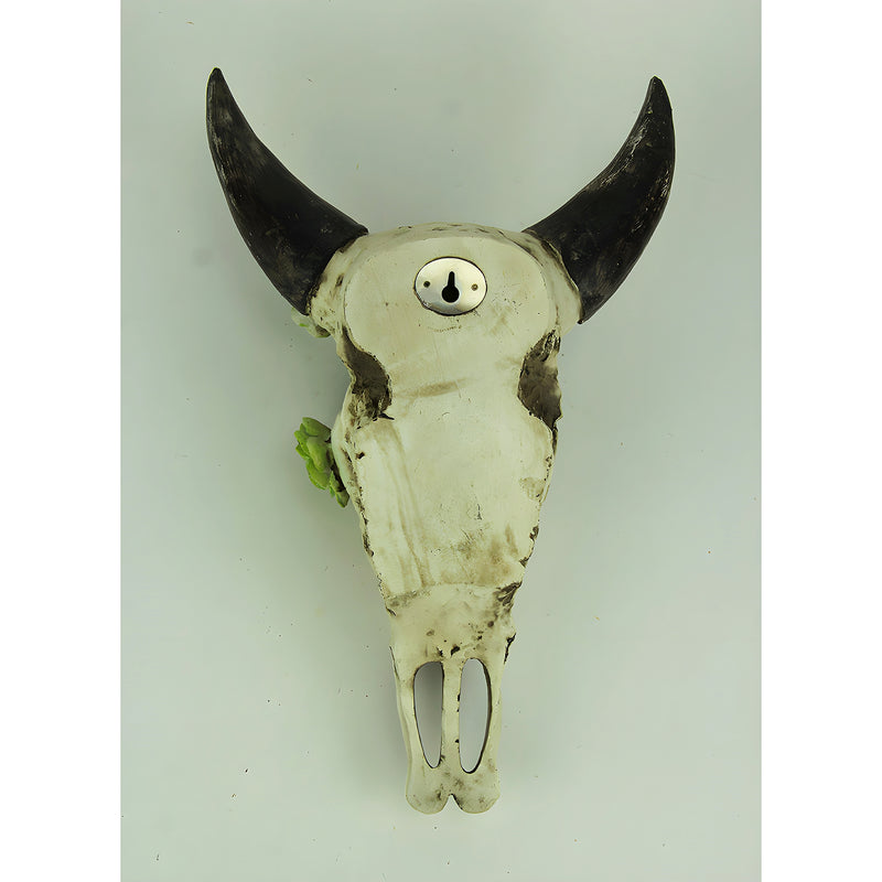 Aged Bull Skull with Succulent Plants Hanging Statue Image 3