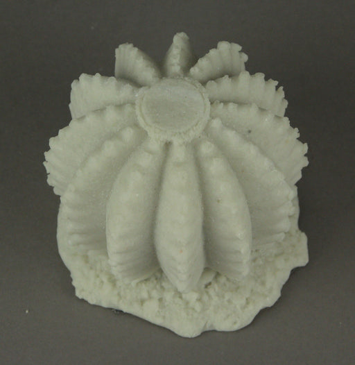 White Sandstone Finish Ball Cactus Statue Small Image 2