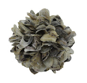 Natural Oyster Shell Orb Decorative Indoor/Outdoor Accent Ball 9 Inch Image 1