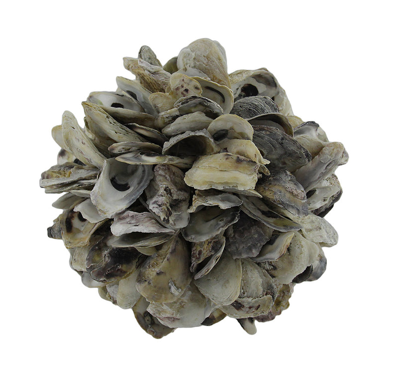 Natural Oyster Shell Orb Decorative Indoor/Outdoor Accent Ball 9 Inch Image 1