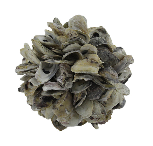Natural Oyster Shell Orb Decorative Indoor/Outdoor Accent Ball 9 Inch Image 1