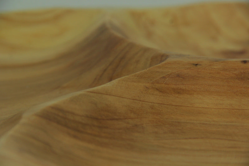 Natural Fir Tree Root 4-Section Snack Serving Tray Image 3