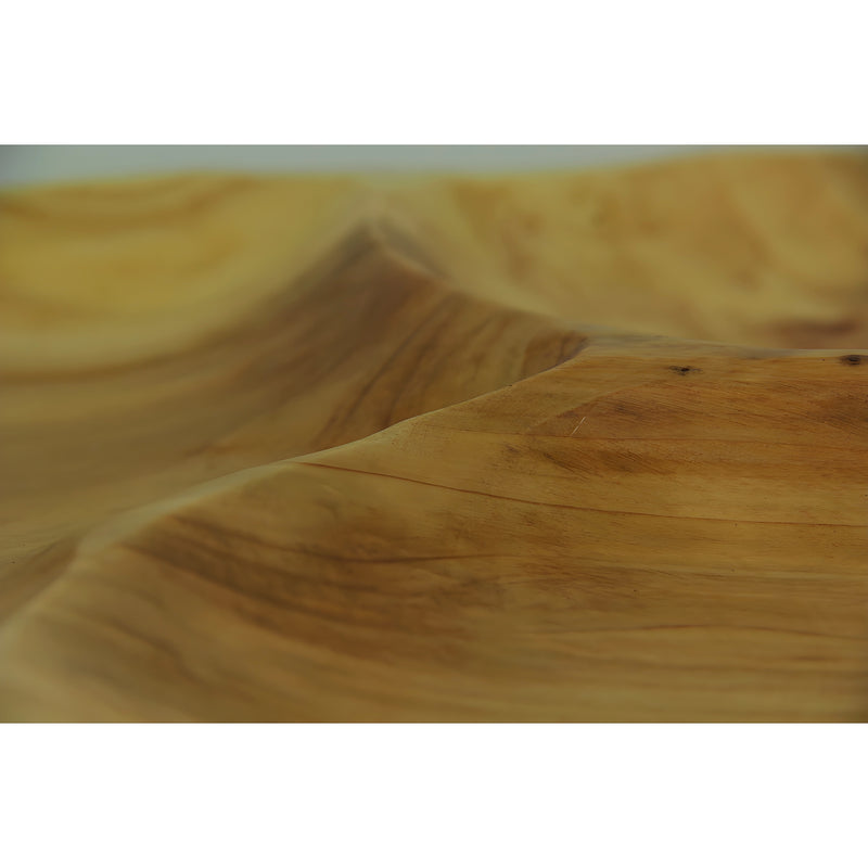 Natural Fir Tree Root 4-Section Snack Serving Tray Image 3