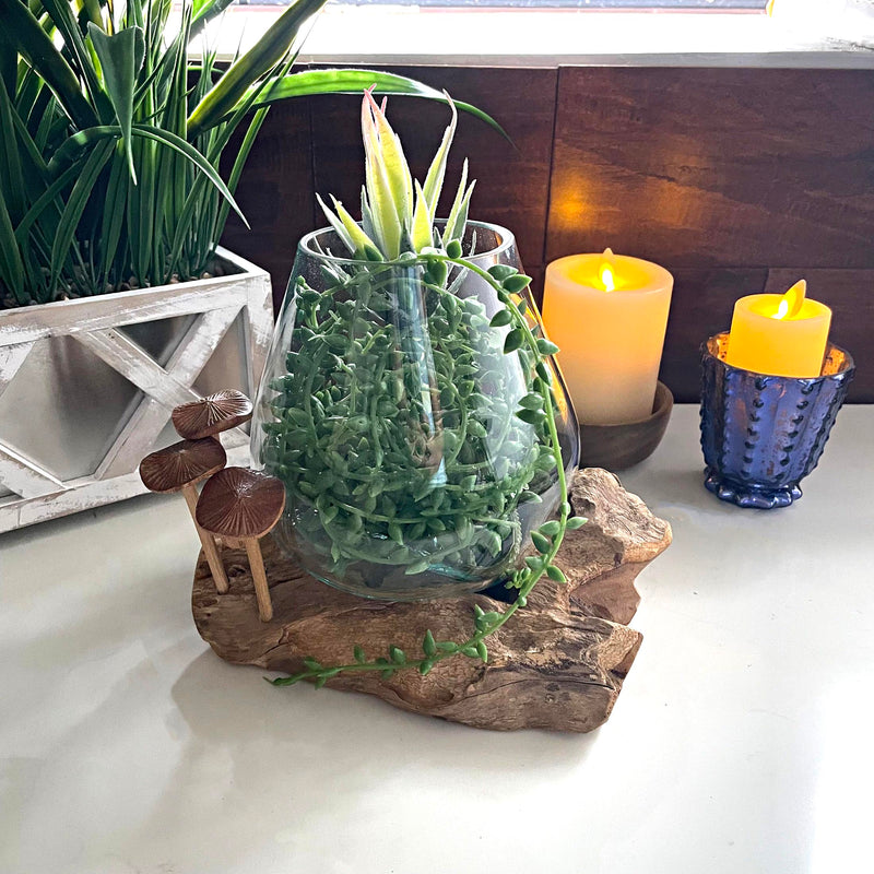 Driftwood Vase, 7.25 Inch Teak and Glass with Wood Mushrooms Image 4
