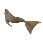 Hand Carved Wood Whale Statue 19in Image 3