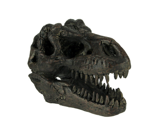 Zeckos 5.75 Inch Tyrannosaurus Rex Dinosaur Skull Fossil Statue, Small Brown Resin T-Rex Head Figurine, Jurassic Dinosaur