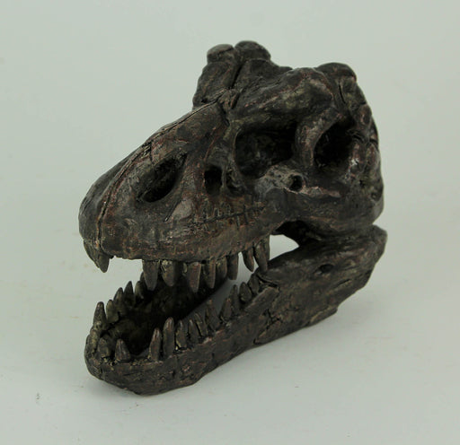 Zeckos 5.75 Inch Tyrannosaurus Rex Dinosaur Skull Fossil Statue, Small Brown Resin T-Rex Head Figurine, Jurassic Dinosaur