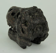 Zeckos 5.75 Inch Tyrannosaurus Rex Dinosaur Skull Fossil Statue, Small Brown Resin T-Rex Head Figurine, Jurassic Dinosaur