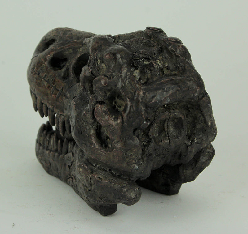 Zeckos 5.75 Inch Tyrannosaurus Rex Dinosaur Skull Fossil Statue, Small Brown Resin T-Rex Head Figurine, Jurassic Dinosaur