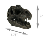 Zeckos 5.75 Inch Tyrannosaurus Rex Dinosaur Skull Fossil Statue, Small Brown Resin T-Rex Head Figurine, Jurassic Dinosaur