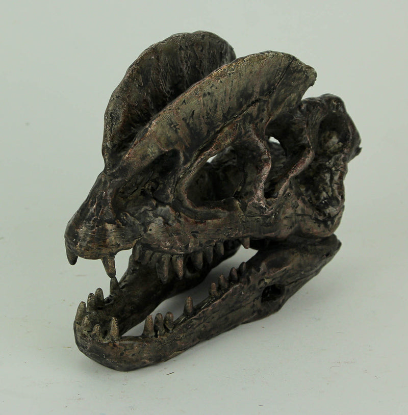 Dilophosaurus Dinosaur Head Fossil Statue Small Image 2