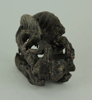 Dilophosaurus Dinosaur Head Fossil Statue Small Image 3