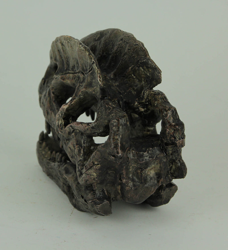 Dilophosaurus Dinosaur Head Fossil Statue Small Image 3