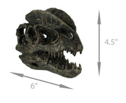 Dilophosaurus Dinosaur Head Fossil Statue Small Image 4