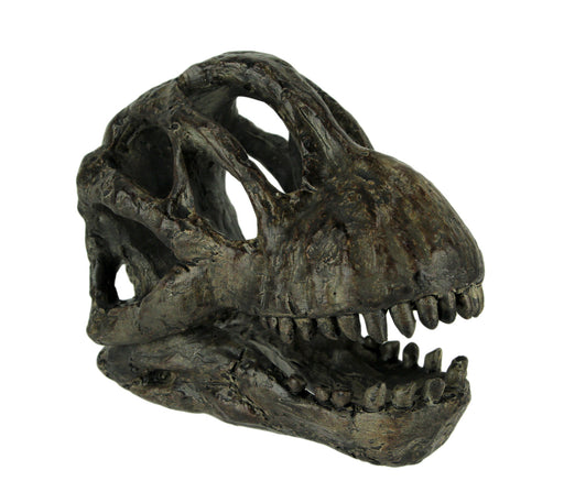 Zeckos 6 Inch Brachiosaurus Dinosaur Skull Fossil Statue, Resin Brown Prehistoric Skeleton Head Figure, Small Jurassic Dino