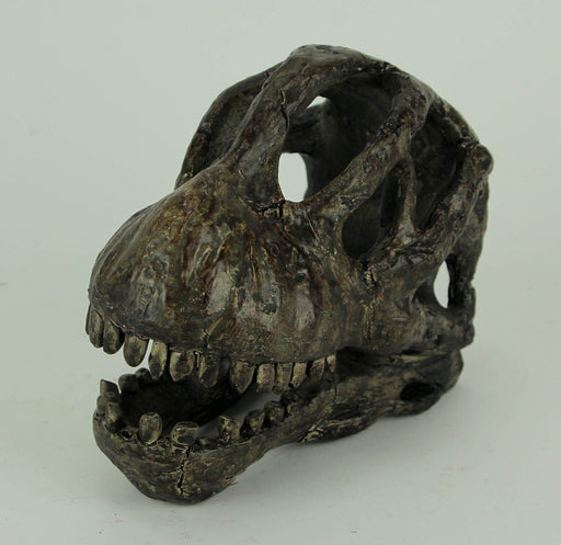Zeckos 6 Inch Brachiosaurus Dinosaur Skull Fossil Statue, Resin Brown Prehistoric Skeleton Head Figure, Small Jurassic Dino