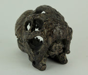 Zeckos 6 Inch Brachiosaurus Dinosaur Skull Fossil Statue, Resin Brown Prehistoric Skeleton Head Figure, Small Jurassic Dino