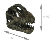 Zeckos 6 Inch Brachiosaurus Dinosaur Skull Fossil Statue, Resin Brown Prehistoric Skeleton Head Figure, Small Jurassic Dino