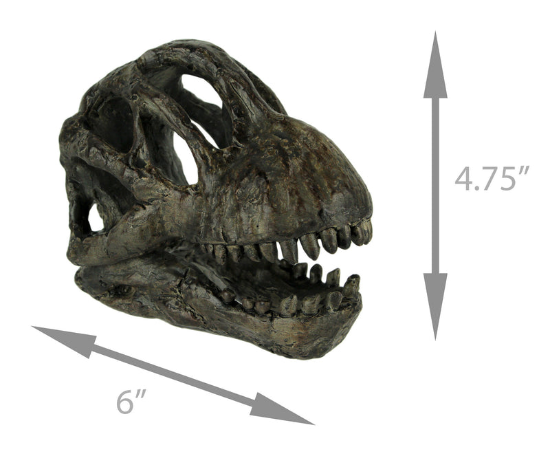 Zeckos 6 Inch Brachiosaurus Dinosaur Skull Fossil Statue, Resin Brown Prehistoric Skeleton Head Figure, Small Jurassic Dino