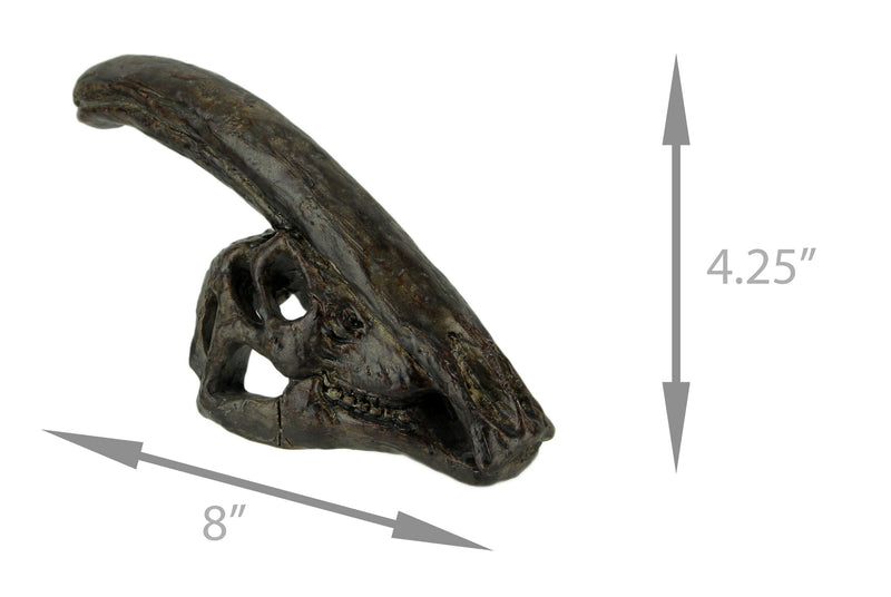 Dinosaur Skull Statue, 8 Inch Parasaurolophus Brown Resin Fossil Finish Image 4
